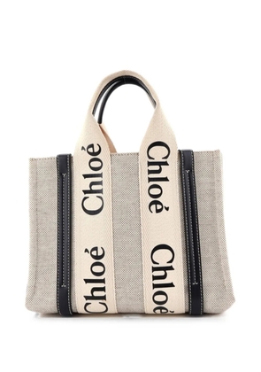 Chloé Pre-Owned Woody Canvas with Leather Small tote bag - Blue