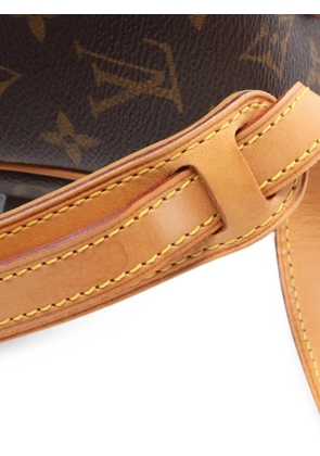 Louis Vuitton Pre-Owned 2004 Blower shoulder bag - Brown