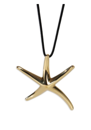 Tiffany & Co. Pre-Owned x Elsa Peretti Starfish pendant - Gold