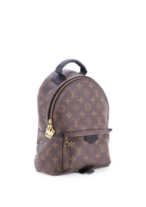 Louis Vuitton Pre-Owned Palm Springs Monogram Canvas PM backpack - Brown
