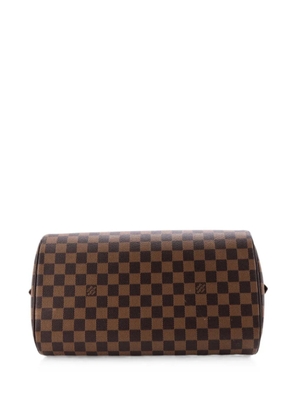 Louis Vuitton Pre-Owned Ribera Damier MM handbag - Brown