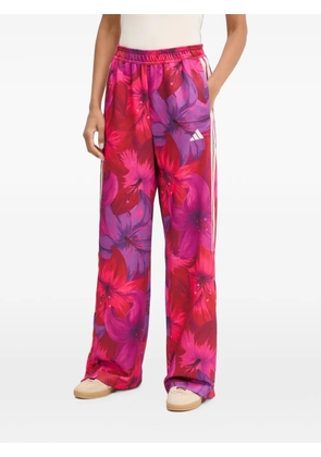 adidas x Farm Rio House Of Tiro floral-print track pants - Pink