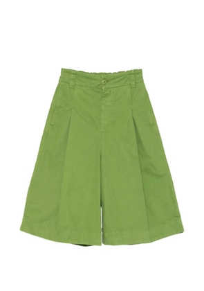 Toogood Explorer pleated shorts - Green