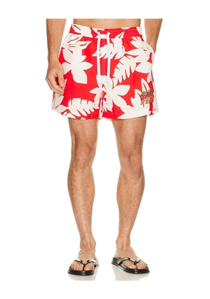 Duvin Design x Jimmy Buffett's Margaritaville Beach Club Swim Short in Red. Size S. Also in M, L, XL/1X.