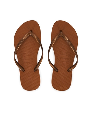 Havaianas Slim Sandal in Brown. Size 35/36. Also in 37/38, 39/40, 41/42.