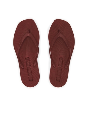 Sleepers Tapered Flip Flop in Burgundy. Size 36. Also in 37, 38, 39, 40, 41.