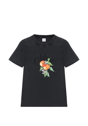 Chloé logo-print fruit-graphic T-shirt - Black