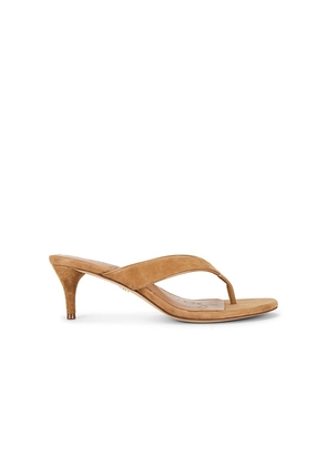 Sam Edelman Amie Sandal in Tan. Size 10. Also in 6, 6.5, 7, 7.5, 8, 8.5, 9, 9.5.
