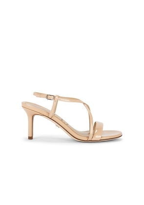 Sam Edelman Ginny Sandal in Nude. Size 10. Also in 6, 6.5, 7, 7.5, 8, 8.5, 9, 9.5.