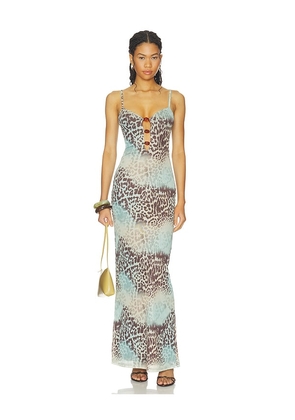 superdown Edie Maxi Dress in Blue,Brown. Size XXS. Also in L, M, S, XL, XS.
