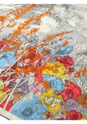 Hermès Pre-Owned 2010s Retour a la Nature scarf - Neutrals