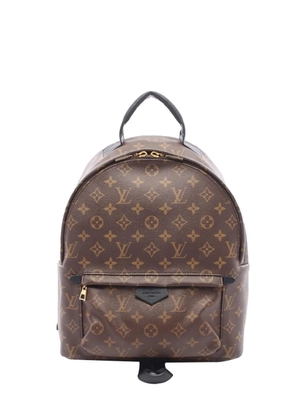 Louis Vuitton Pre-Owned 2017 Monogram Palm Springs MM backpack - Brown