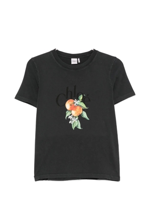 Chloé logo-print fruit-print T-shirt - Black