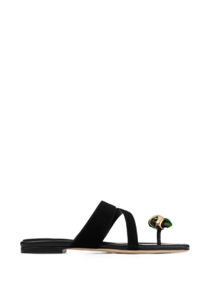 Jimmy Choo Emeri Stone flat black and clover suede flat sandals