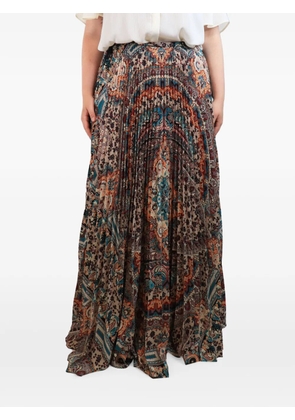 Etro Pre-Owned pleated maxi skirt - Neutrals
