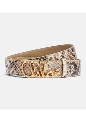 Chloe Chloe Iconic snake-effect leather belt