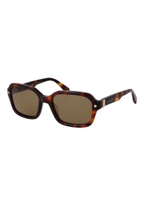 Ted Baker Brown Acetate Sunglasses