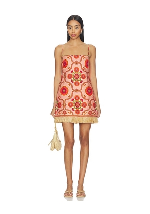Cara Cara Valencia Mini Dress in Red. Size 10. Also in 4, 2, 6, 12.