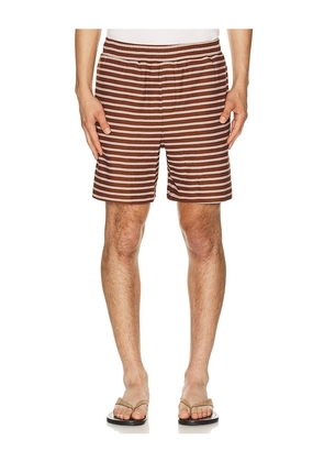 Bound Stripe Jacquard Shorts in Red. Size L. Also in M, S, XL/1X.