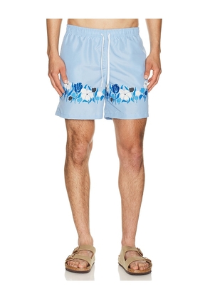 Bather Regatta Lawn Printed Swim Trunks in Blue. Size L. Also in S, M, XL/1X.