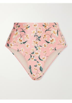 Agua by Agua Bendita - Magenta Promesa Floral-print Bikini Brief - Pink - x small,small,medium,large,x large