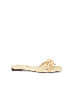 Loeffler Randall Hadley Flat Bow Sandal in Beige. Size 10. Also in 6, 6.5, 7, 7.5, 8, 8.5, 9, 9.5.