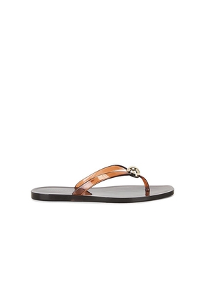 Loeffler Randall Jovie Jelly Flip Flop in Brown. Size 10. Also in 5, 6, 7, 8, 9.