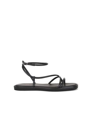 Loeffler Randall Noor Strappy Ankle Wrap Flat Sandal in Black. Size 10. Also in 5, 6, 6.5, 7, 7.5, 8, 8.5, 9, 9.5.