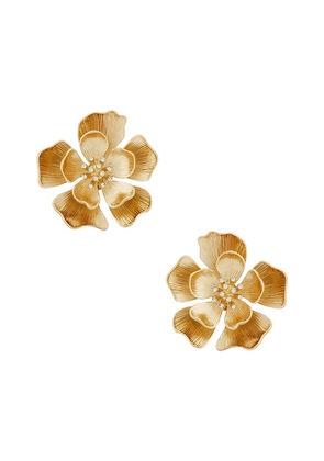 Lovers and Friends Mireya Earrings in Metallic Gold.