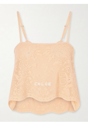 Chloé - Crocheted Cotton Top - Orange - x small,small,medium,large,x large