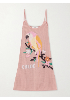 Chloé - Embroidered Crocheted Cotton Mini Dress - Pink - x small,small,medium,large,x large