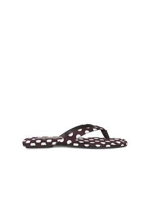 Steve Madden Trella Sandal in Brown,White. Size 10. Also in 6, 6.5, 7, 7.5, 8, 8.5, 9, 9.5.
