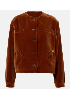 Blaze Milano Gliss cotton velvet jacket