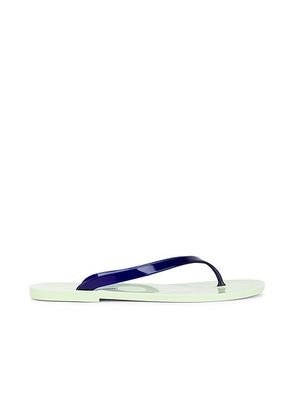 Christopher Esber Jo Flip Flop in Aloe & Ink - Green,Navy. Size 39 (also in 37, 38, 40, 36).