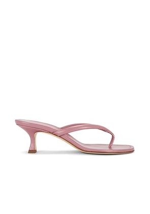 Manolo Blahnik Paterno 50 Sandal in Dark Pink - Pink. Size 39.5 (also in 37, 37.5, 38, 39, 41).