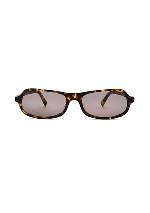 Miu Miu Acetate Sunglasses in Honey Havana - Brown. Size all.