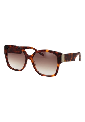 Ted Baker Brown Acetate Sunglasses