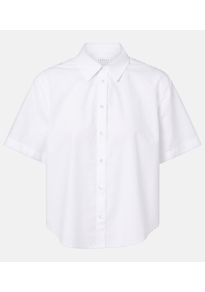 Velvet Alana cotton poplin shirt