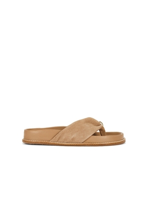 SIMKHAI Stella Suede Sport Sandal in Tan. Size 36. Also in 37, 38, 39, 41.