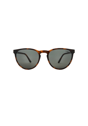 Le Specs Invincible Sunglasses in Brown.