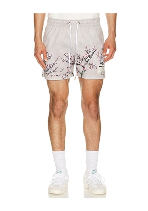 Ryoko Rain Cherry Blossom Shorts in Grey. Size S. Also in M, L, XL/1X.