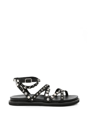 Cult Roshelle stud-embellishment sandals - Black