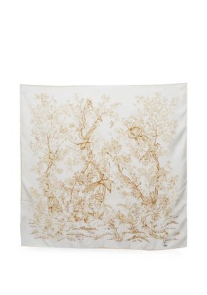 Christian Dior Pre-Owned Jardin d'Hiver square scarf - Neutrals