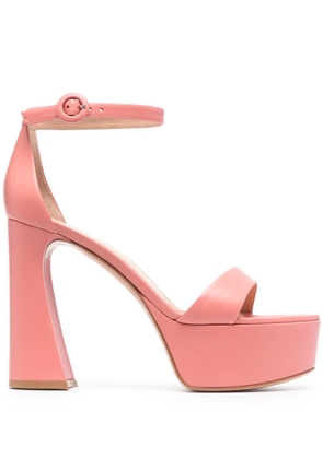 Gianvito Rossi Holly 115mm platform sandals - Pink