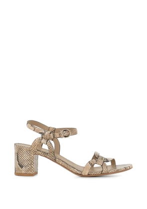 Del Carlo Betty snake-effect buckled sandals - Neutrals