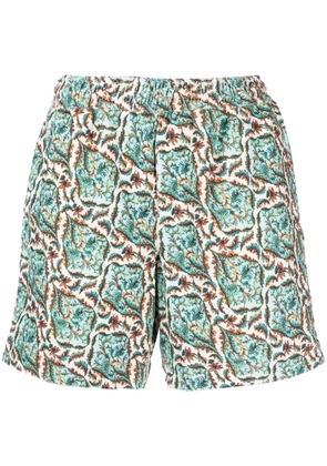 Orlebar Brown Louis paisley-print shorts - Blue