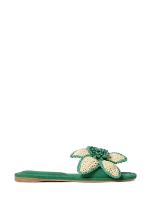 Paloma Barceló Ava raffia-flower suede sandals - Green