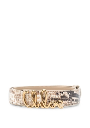 Chloé logo-plaque belt - Neutrals