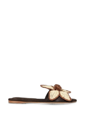 Paloma Barceló raffia-flower suede sandals - Brown