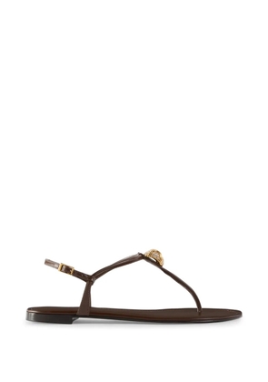 Giuseppe Zanotti Cocktail flat sandals - Brown